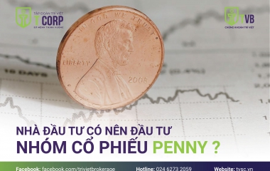 NHÀ ĐẦU TƯ CÓ NÊN ĐẦU TƯ NHÓM CỔ PHIẾU PENNY ? 